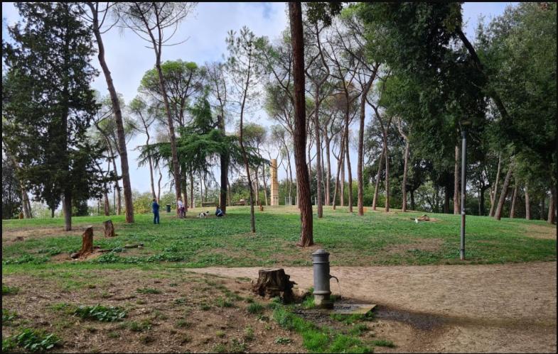 Incantevole Nel Parco Dell'aniene! Appartement